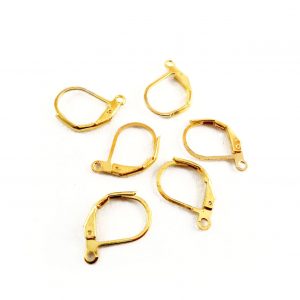 Ear Hook