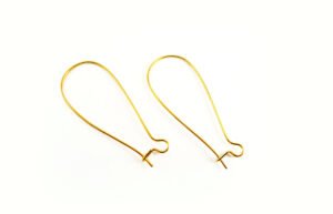 Ear Hook