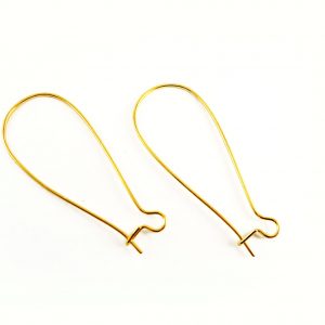 Ear Hook