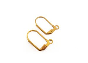 Ear Hook