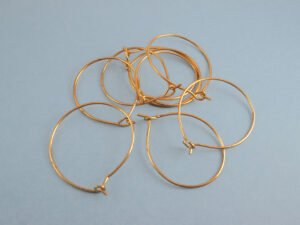 Earring Hoop