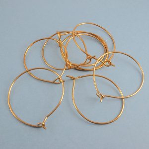 Earring Hoop