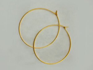 Earring Hoop
