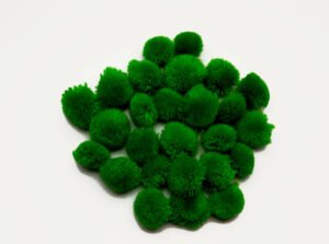 Pmpm002 Pom Pom