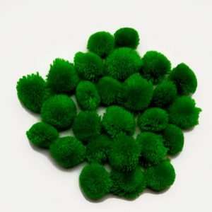 Pom Pom