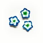 Clay Beads
