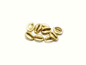 CwrShl002B Cowrie Shells