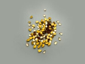Kundan Embellishment