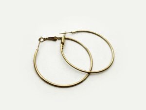 Earring Hoop