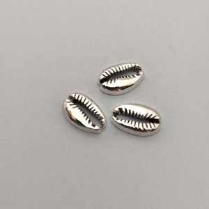Cowrie Shells