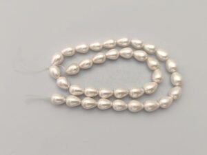 ShlPrl007 Shell Pearls